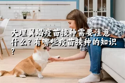 大理翼蝎疫苗接种需要注意什么？有哪些疫苗接种的知识？