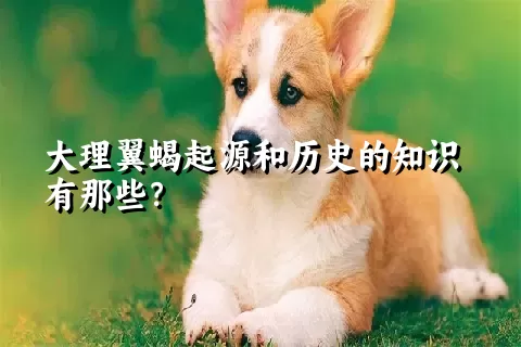 大理翼蝎起源和历史的知识有那些？