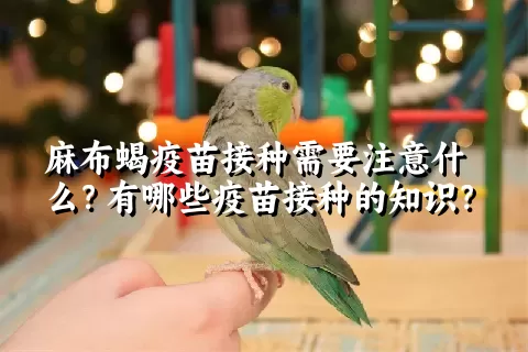 麻布蝎疫苗接种需要注意什么？有哪些疫苗接种的知识？