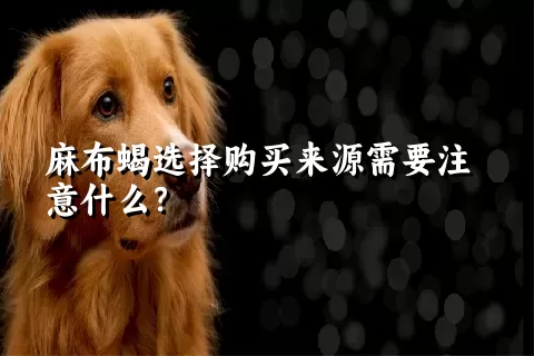 麻布蝎选择购买来源需要注意什么？ 