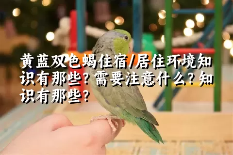 黄蓝双色蝎住宿/居住环境知识有那些？需要注意什么？知识有那些？