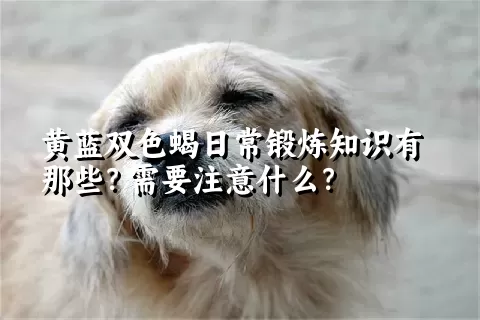 黄蓝双色蝎日常锻炼知识有那些？需要注意什么？