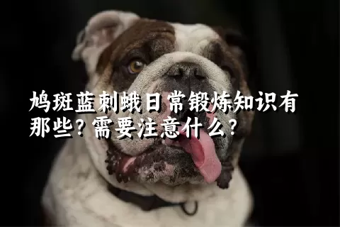 鸠斑蓝刺蛾日常锻炼知识有那些？需要注意什么？