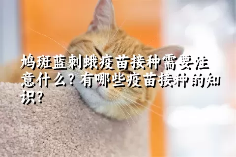 鸠斑蓝刺蛾疫苗接种需要注意什么？有哪些疫苗接种的知识？