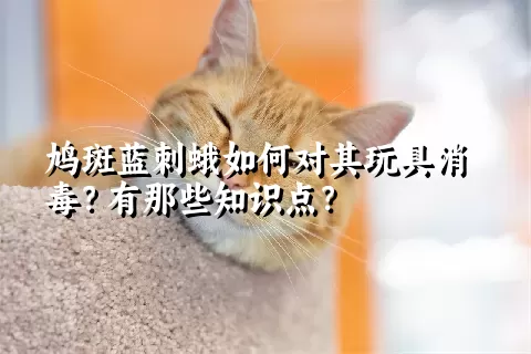 鸠斑蓝刺蛾如何对其玩具消毒？有那些知识点？