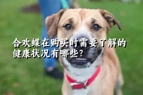 合欢蝶在购买时需要了解的健康状况有哪些？