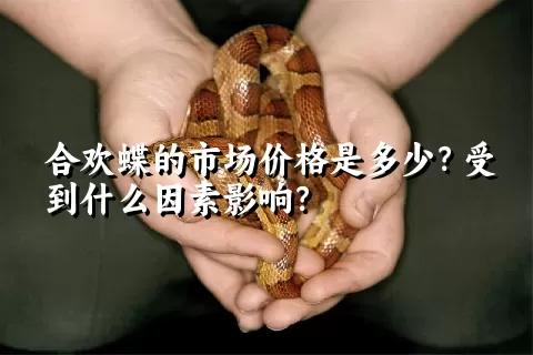 合欢蝶的市场价格是多少？受到什么因素影响？