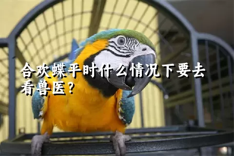 合欢蝶平时什么情况下要去看兽医？ 