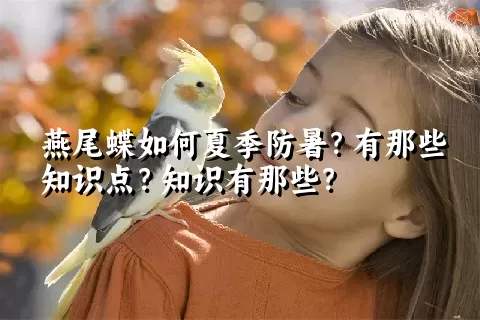 燕尾蝶如何夏季防暑？有那些知识点？知识有那些？