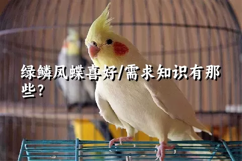 绿鳞凤蝶喜好/需求知识有那些？