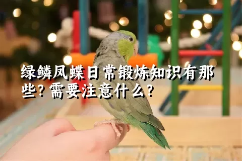 绿鳞凤蝶日常锻炼知识有那些？需要注意什么？