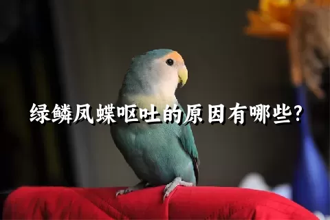 绿鳞凤蝶呕吐的原因有哪些?