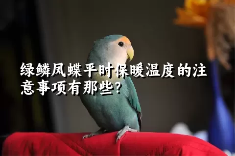 绿鳞凤蝶平时保暖温度的注意事项有那些？ 