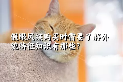 假眼凤蝶购买时需要了解外貌特征知识有那些？  