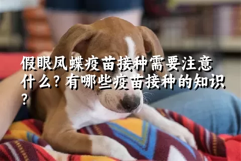 假眼凤蝶疫苗接种需要注意什么？有哪些疫苗接种的知识？