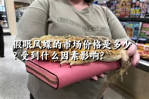 假眼凤蝶的市场价格是多少？受到什么因素影响？