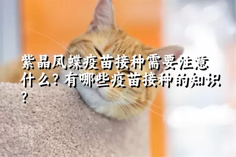 紫晶凤蝶疫苗接种需要注意什么？有哪些疫苗接种的知识？