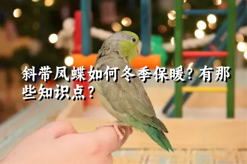 斜带凤蝶如何冬季保暖？有那些知识点？