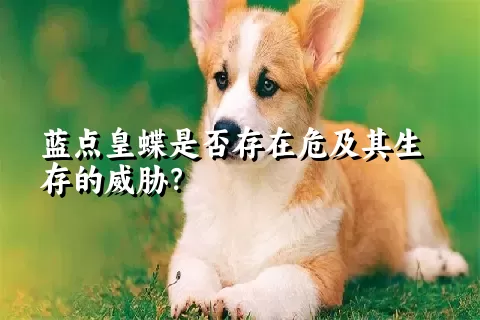 蓝点皇蝶是否存在危及其生存的威胁？