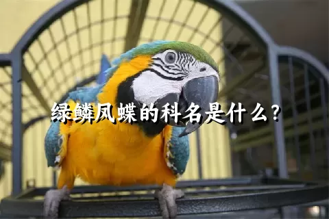 绿鳞凤蝶的科名是什么？