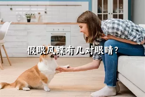 假眼凤蝶有几对眼睛？