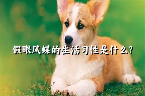 假眼凤蝶的生活习性是什么？