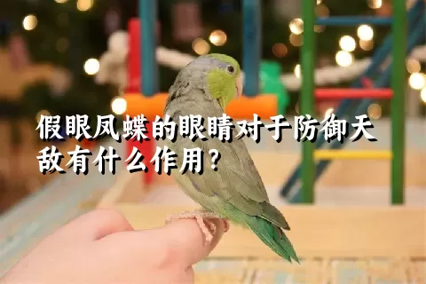 假眼凤蝶的眼睛对于防御天敌有什么作用？