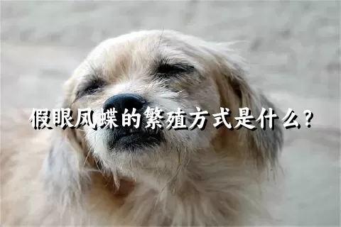 假眼凤蝶的繁殖方式是什么？