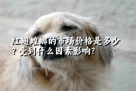 红翅蝗螂的市场价格是多少？受到什么因素影响？