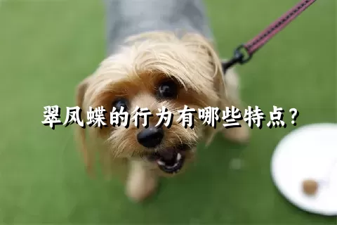 翠凤蝶的行为有哪些特点？