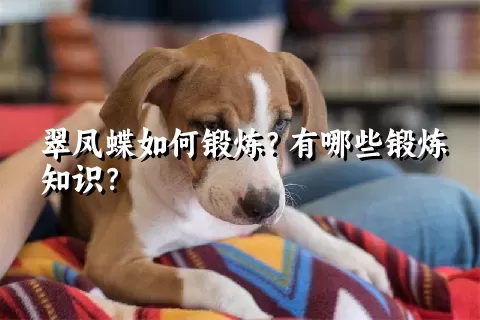 翠凤蝶如何锻炼？有哪些锻炼知识？