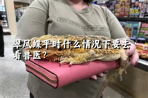 翠凤蝶平时什么情况下要去看兽医？ 