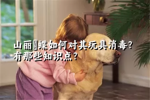 山丽鹟蝶如何对其玩具消毒？有那些知识点？