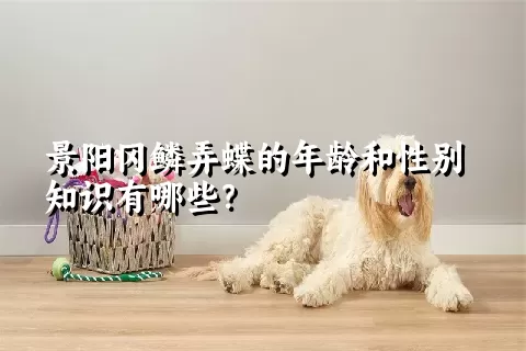 景阳冈鳞弄蝶的年龄和性别知识有哪些？