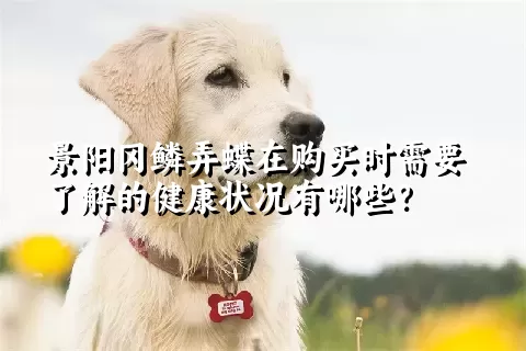 景阳冈鳞弄蝶在购买时需要了解的健康状况有哪些？