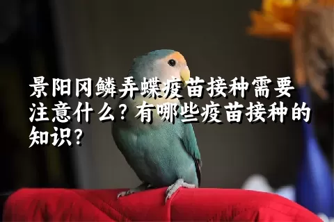 景阳冈鳞弄蝶疫苗接种需要注意什么？有哪些疫苗接种的知识？