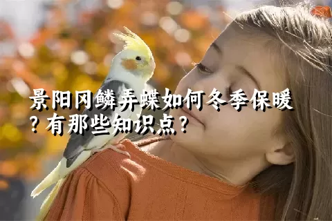 景阳冈鳞弄蝶如何冬季保暖？有那些知识点？