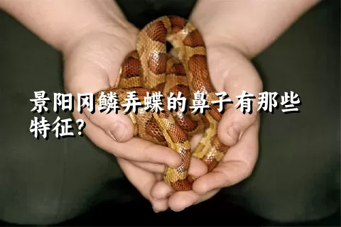 景阳冈鳞弄蝶的鼻子有那些特征？