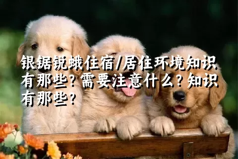 银锯锐蛾住宿/居住环境知识有那些？需要注意什么？知识有那些？