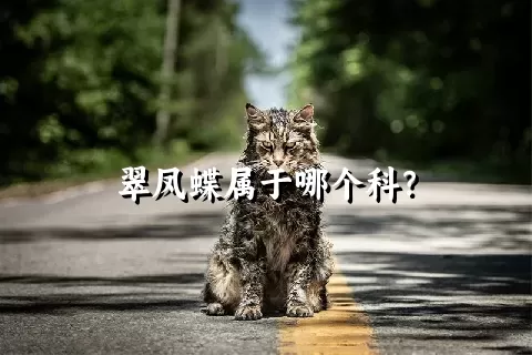 翠凤蝶属于哪个科？