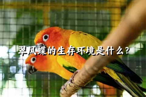 翠凤蝶的生存环境是什么？