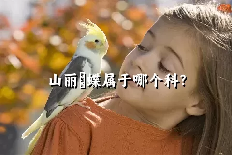 山丽鹟蝶属于哪个科？