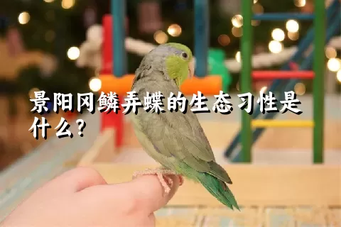 景阳冈鳞弄蝶的生态习性是什么？