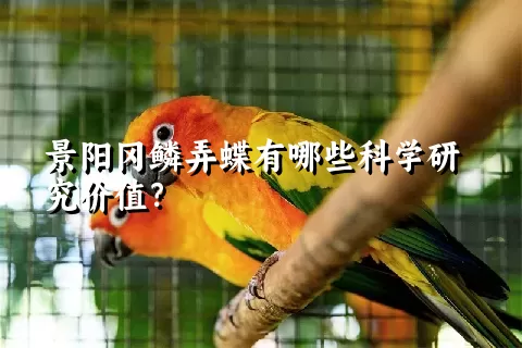 景阳冈鳞弄蝶有哪些科学研究价值？