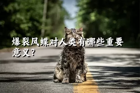 爆裂凤蝶对人类有哪些重要意义？