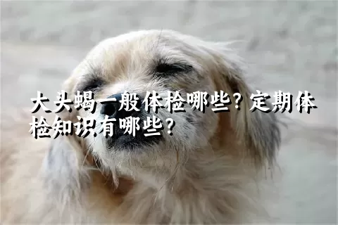 大头蝎一般体检哪些？定期体检知识有哪些？