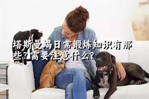 塔斯曼蝎日常锻炼知识有那些？需要注意什么？