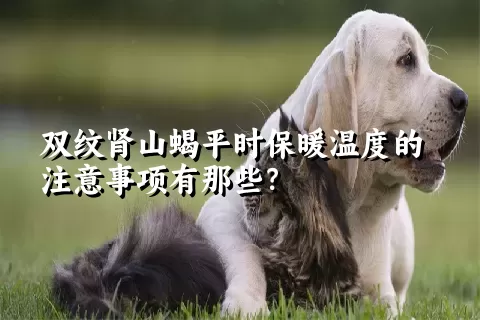 双纹肾山蝎平时保暖温度的注意事项有那些？ 