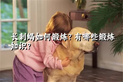 长刺蝎如何锻炼？有哪些锻炼知识？