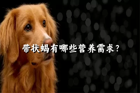 带状蝎有哪些营养需求？